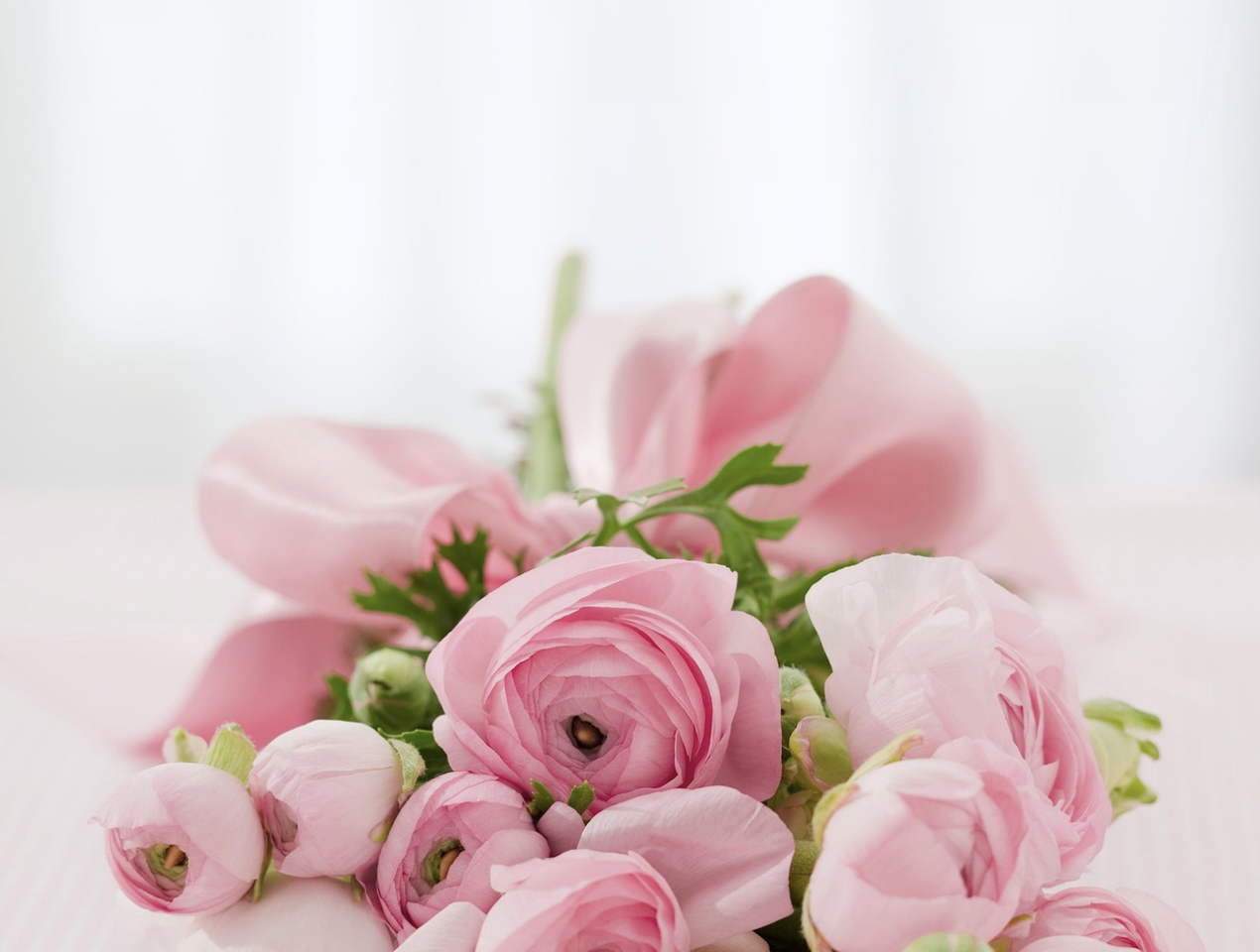 Секреты королевского долголетия: как ухаживать за розами