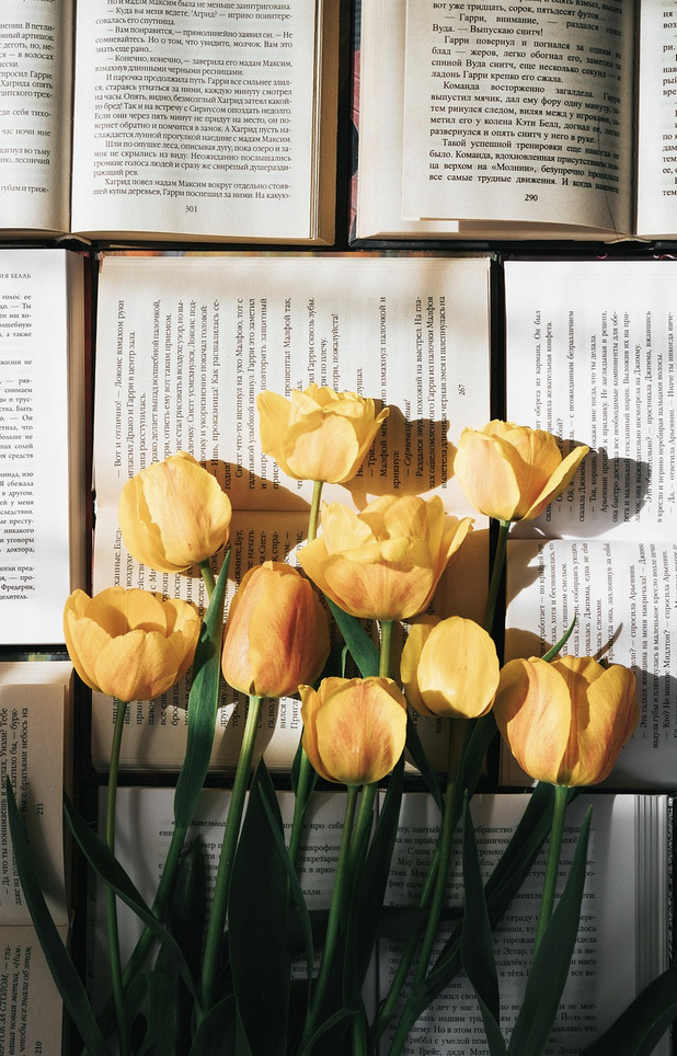 Испорченный сюрприз – почему цветы быстро вянут и как это предотвратить