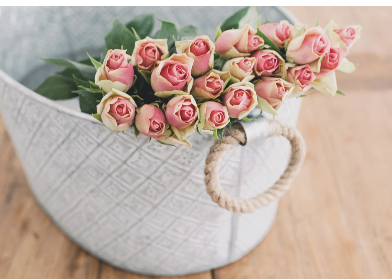 Ключ к долгой жизни – как обрезать цветы правильно