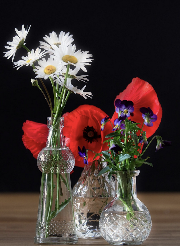 Вторая жизнь букета – проверенные способы продлить свежесть цветов