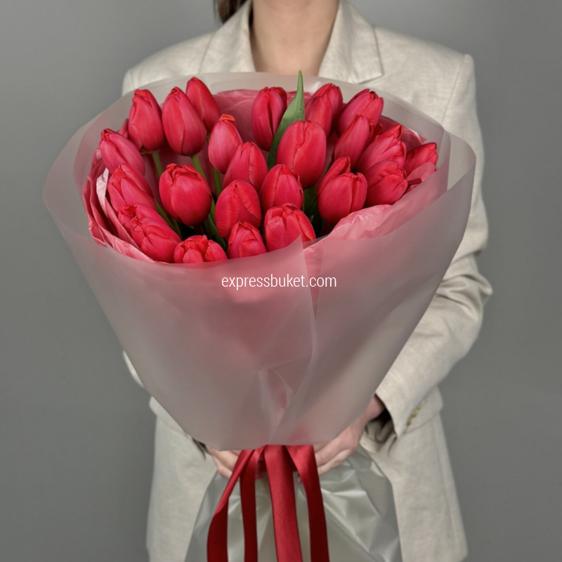 Тюльпаны "Красный бархат"