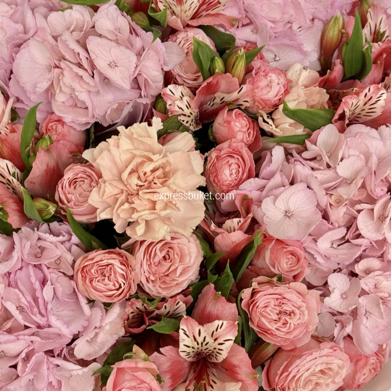 Розовое соцветие