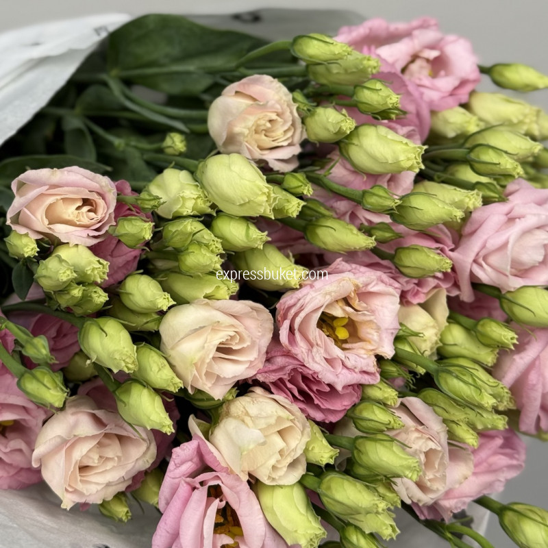 Розовая эустома, 10 шт